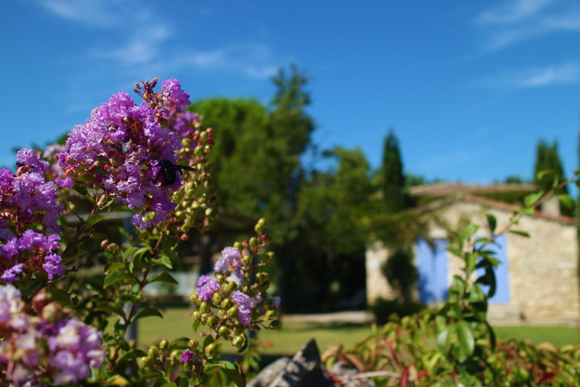 Villa sous la tonnelle Gordes Esterno foto